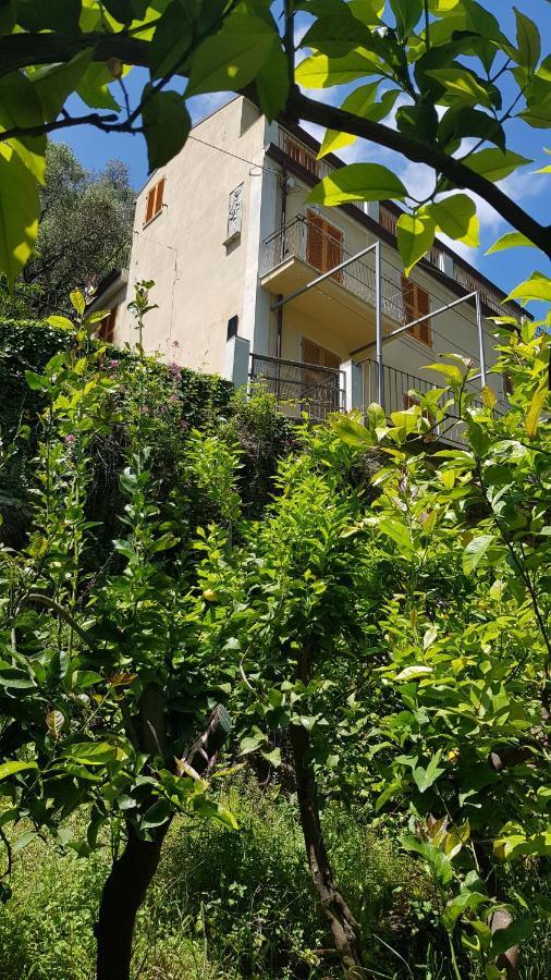 La Casa Dei Limoni Hotel Monterosso al Mare Eksteriør billede
