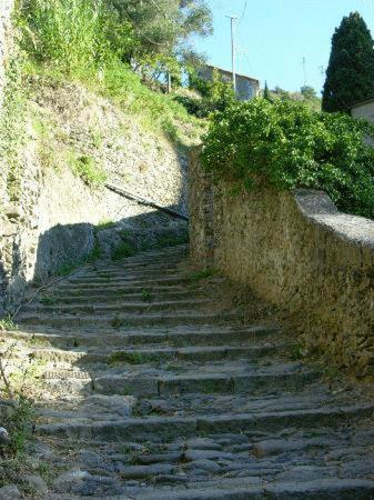 La Casa Dei Limoni Hotel Monterosso al Mare Eksteriør billede